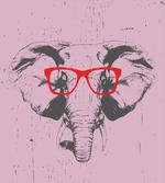 Elephant with Funny Glasses