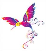 Feather Hummingbird