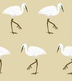 Leg Standing Heron Birds