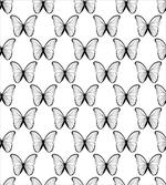 Butterfly Wings Freedom
