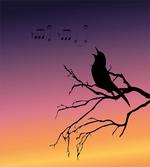 Gradient Sunrise Bird artwork