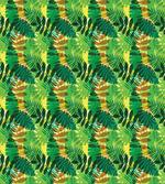Exotic Palm Leaves Foliage