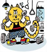 Cartoon Cat Lifting