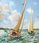 Sailing Wavy Sea