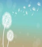 Blowball on Wind