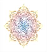 Flower Bloom