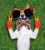 Gay Dog Peace Sign Pride