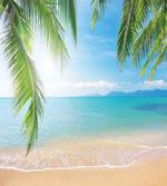 Surf Tourism Thailand