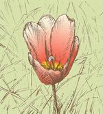 Romantic Flower Sketch
