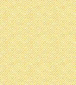 Yellow and White Maze