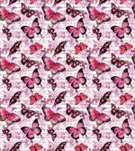 Paintbrush Butterfly