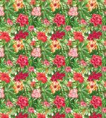 Hawaii Plumeria Hibiscus