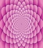Abstract Spiral Lotus