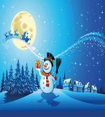 Snowy Land Pines Moon