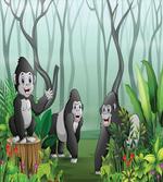 Orangutans in a Forest