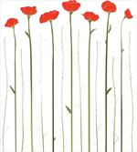 Red Poppies on Spring