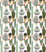 Succulents Flower Pots
