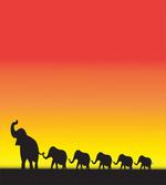 Ombre Sky Mammals