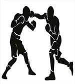 Professional Boxer Punch
