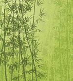 Green Bamboo Growth