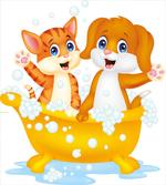 Cartoon Cat and Dog Bath