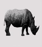 Polygonal Animal Line Art