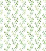 Symmetrical Olive Leaves