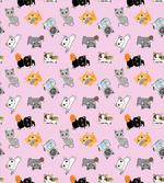 Colorful Baby Kittens