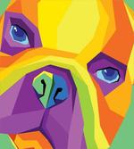 Abstract Vibrant Face