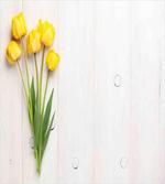 Tulips on Rustic Board