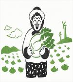Gardener Holding Cabbage