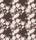 Top View Abstract Blossoms