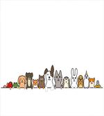 Domestic Pets Funny