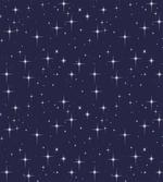 Night Skyline with Stars