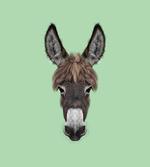 Illustrated Animal Portrait