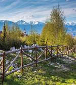 Snowy Alps Mountain artwork