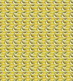 Sliced Piece of Fruit Stripes