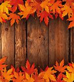 Leaves on the Wooden Board artwork