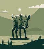 Abstract Wild Boar Pig