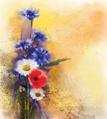 Poppy Chamomile Spring artwork