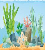 Sea Plants and Rocks