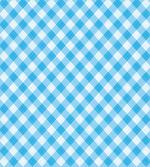 Blue and White Plaid
