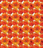 Antique Bohemian Poppies