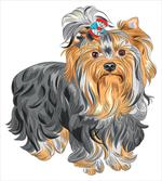 Terrier with Bow