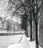 Seine River