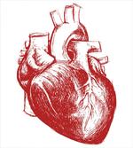 Sketch of Cardio Organ