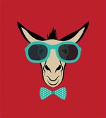 Donkey Wearing Sunglasses