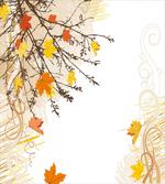 Maple Leaves in Autumn