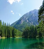 Forest Lake in Valley