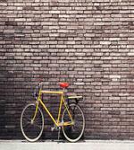 Retro Bicycle on Wall artwork